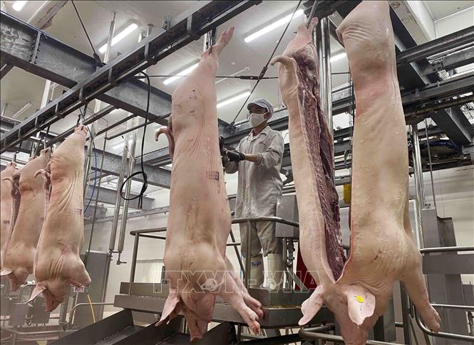 Dây chuyền chế biến thịt lợn mát của Công ty tại Khu công nghiệp Đồng Văn IV, xã Đại Cương, huyện Kim Bảng, tỉnh Hà Nam. Ảnh: Vũ Sinh - TTXVN