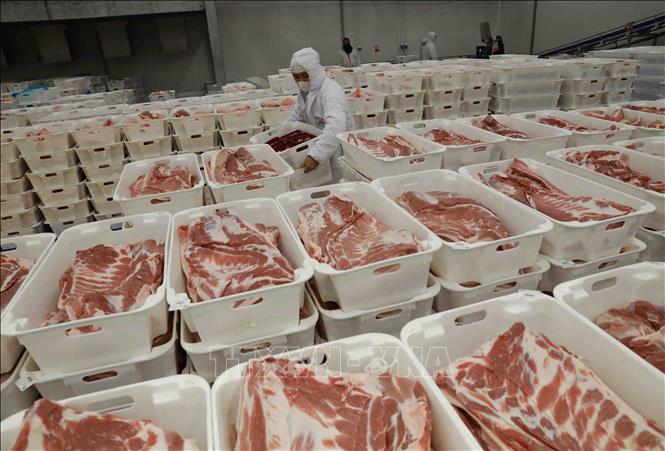 Sản phẩm thịt lợn mát thương hiệu “MEATDeli” được bảo quản đạt chuẩn công nghệ Châu Âu trong suốt quá trình chế biến. Ảnh: Vũ Sinh - TTXVN