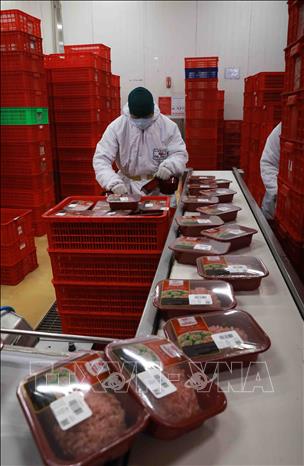 Sản phẩm thịt lợn mát thương hiệu “MEATDeli” sau khi chế biến sẽ được làm mát và đóng gói với công nghệ 