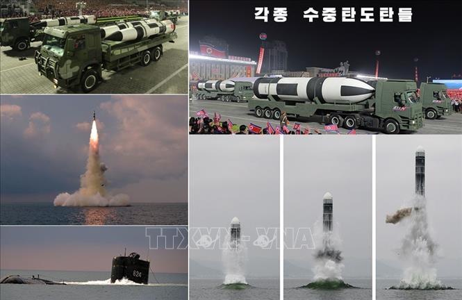 Hình nền Nền Hoa Anh đào Dọc Lối đi ở Seoul Korea Nền Hoa Anh đào Mùa  Xuân ảnh Chụp ảnh Hd Thực Vật Background Vector để tải xuống miễn phí 