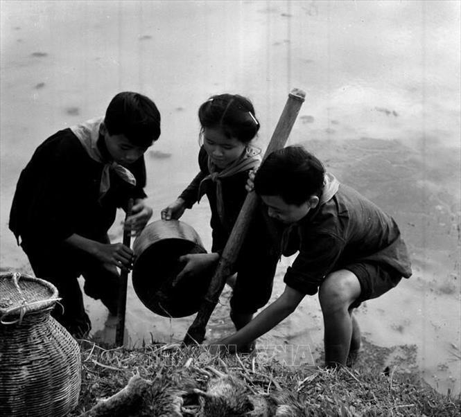 Hưởng ứng phong trào 