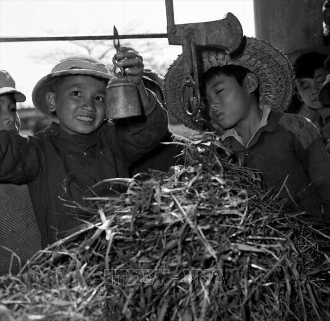 Hưởng ứng khẩu hiệu 