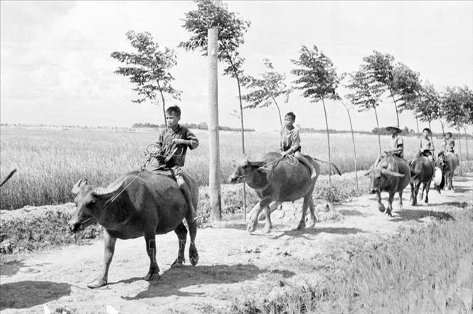 Tích cực tham gia phong trào 