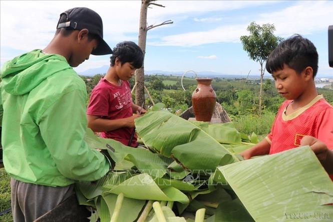 Trẻ em người Bahnar, xã Chư Hreng (thành phố Kon Tum) rọc lá chuối, gói bánh tét ủng hộ đồng bào miền Trung bị ảnh hưởng bởi lũ lụt. Ảnh: Dư Toán – TTXVN.



