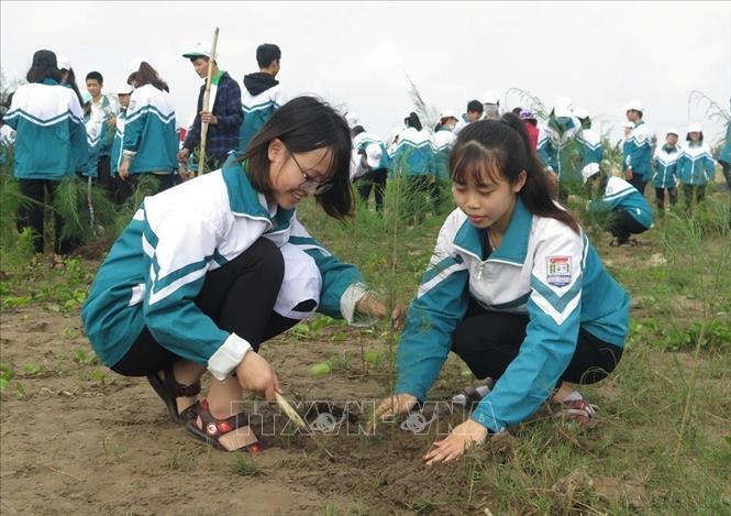 Học sinh, sinh viên, thanh niên, nhân dân Nam Định trồng cây dọc bờ biển xã Bạch Long, huyện Giao Thủy sau lễ phát động Tết trồng cây “Đời đời nhớ ơn Bác Hồ” Xuân Kỷ Hợi 2019. Ảnh: Văn Đạt - TTXVN
