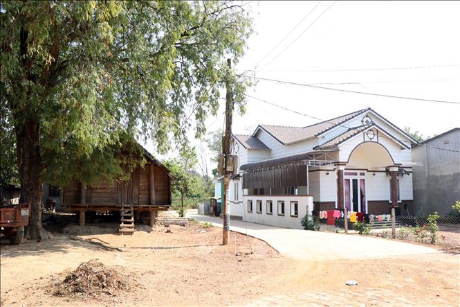 Trong ảnh: Những căn nhà dài truyền thống đang dần được thay thế bởi nhà hiện đại. Ảnh: Minh Hưng – TTXVN 