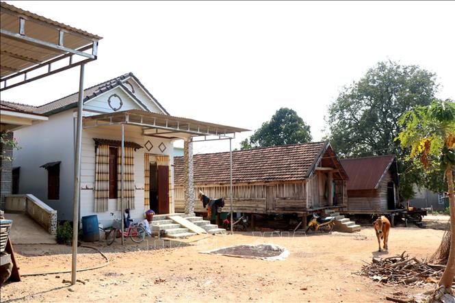 Trong ảnh: Những căn nhà dài truyền thống đang dần được thay thế bởi nhà hiện đại. Ảnh: Minh Hưng – TTXVN 