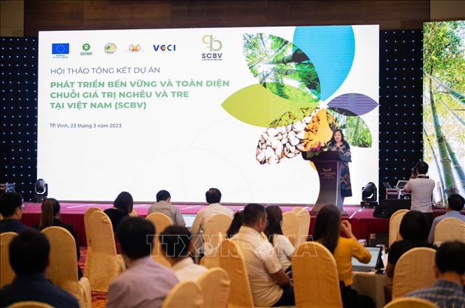 A view of the conference. VNA Photo: Tá Chuyên
