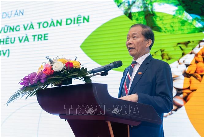 Hoang Quang Phong, Vice President of the Vietnam Chamber of Commerce and Industry (VCCI), speaks at the conference. VNA Photo: Tá Chuyên