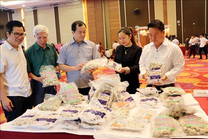 Delegates view some of the clam products at the conference. VNA Photo: Tá Chuyên