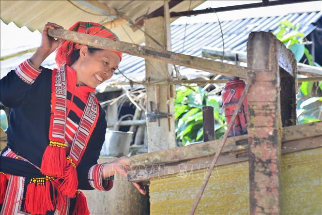 Paper sheets are pressed before drying in open air. VNA Photo: Nam Thái