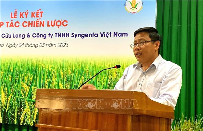 Ông Trần Ngọc Thạch, Viện trưởng Viện Viện Lúa Đồng bằng sông Cửu Long cho biết, nhằm đáp ứng với chuyển đổi của ngành lúa gạo, Viện Lúa đã sắp xếp tổ chức bộ máy và điều chỉnh chiến lược nghiên cứu phù hợp, đặc biệt là công tác chọn giống lúa. Ảnh: Thu Hiền - TTXVN