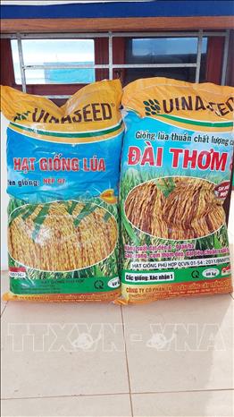 The packages of rice seeds given to Laos. VNA Photo: Kiên Thành  