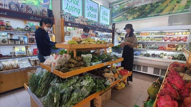 Trong ảnh: Mô hình rau sạch tại của hàng rau sạch An Nông. Ảnh: Đức Thọ - TTXVN. 

