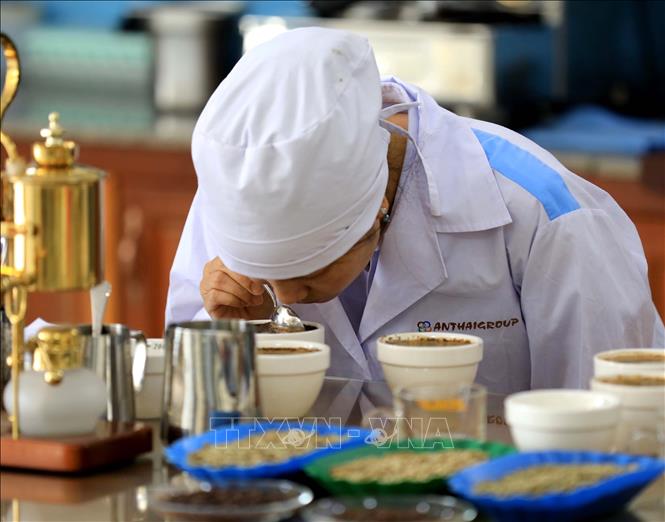 Quality control for coffee flavours at An Thai Group. VNA Photo: Nhật Anh 