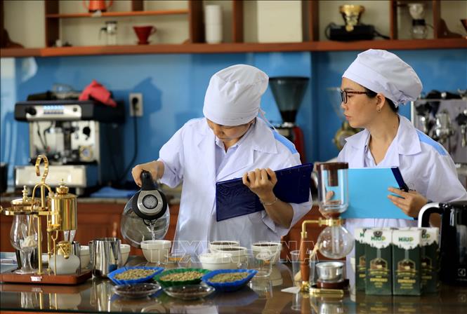 Quality control for coffee flavours at An Thai Group. VNA Photo: Nhật Anh 