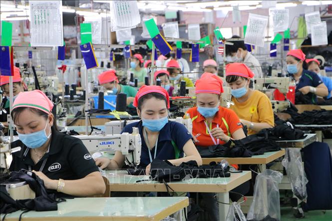 A production line of the Eclat Vietnam Garment and Textile Co. Ltd. In Nhon Trach 2 industrial park in Dong Nai province. VNA Photo: Công Phong