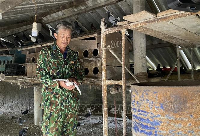 Làm giàu từ mô hình kinh tế tổng hợp ở vùng cao Sơn La  Dân Việt