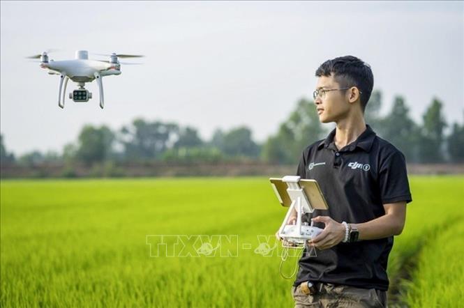 Trong ảnh: Anh Nguyễn Văn Thiên Vũ trực tiếp tới hiện trường để theo dõi hoạt động của những chiếc máy bay không người lái. Ảnh: TTXVN phát