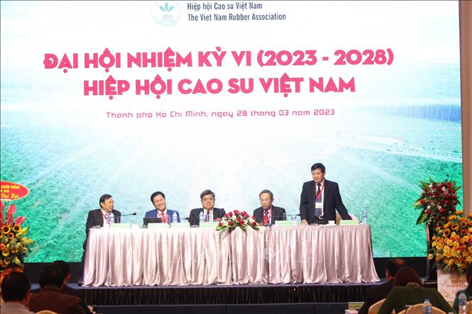  Đại hội Hiệp hội Cao su Việt Nam nhiệm kỳ VI (2023 - 2028). Ảnh: Hứa Chung - TTXVN