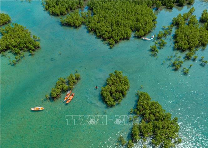 Trong ảnh: Rừng ngập mặn Đầm Bấy, vịnh Nha Trang, tỉnh Khánh Hòa nhìn từ trên cao xuống. Ảnh: Phan Sáu - TTXVN