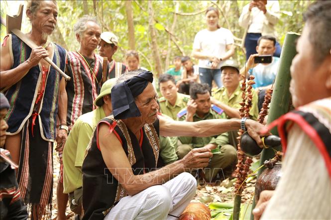 Village elder Siu Toi offers food to the forest god to pray for good health and bumper harvest. VNA Photo: Quang Thái