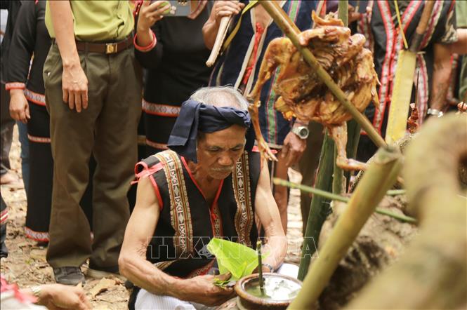 Village elder Siu Toi offers food to the forest god to pray for good health and bumper harvest. VNA Photo: Quang Thái