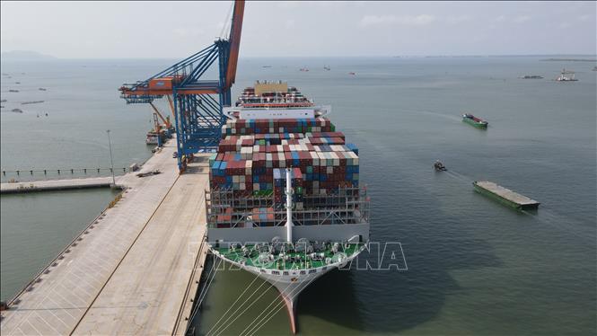 Trong ảnh: Siêu tàu container M/V OOCL SPAIN tại cảng Gemalink (cụm cảng Cái Mép -Thị Vải, thị xã Phú Mỹ, tỉnh Bà Rịa-Vũng Tàu). Ảnh: Huỳnh Sơn - TTXVN 