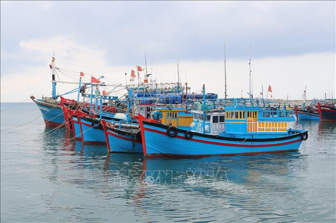 Offshore fishing vessels dock at the My Tan port in Ninh Thuan province. VNA Photo: Nguyễn Thành 