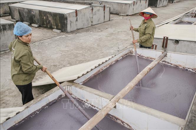 Trong ảnh: Công đoạn đánh, đảo các bể mắm tôm theo phương pháp truyền thống tại làng nghề Ngọc Lâm. Ảnh: Công Luật - TTXVN
