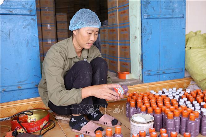 Trong ảnh: Dán nhãn mác vào lọ sản phẩm mắm tôm của làng nghề Ngọc Lâm. Ảnh: Công Luật - TTXVN
