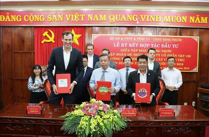 Ký kết dự án “Xây dựng khu chăn nuôi gà thịt xuất khẩu chất lượng cao Bình Phước” do Công ty TNHH De Heus (Hà Lan) liên doanh với Tập đoàn Hùng Nhơn làm chủ đầu tư, tại Bình Phước, ngày 26/8/2019. Ảnh: Dương Chí Tưởng - TTXVN