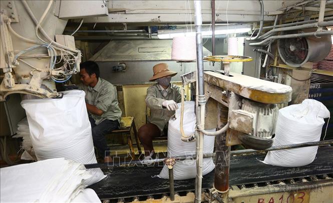 Công ty TNHH Japfa Comfeed Việt Nam (vốn đầu tư của Hà Lan tại Vĩnh Phúc) tăng cường sản xuất để vượt qua khó khăn do dịch COVID-19. Ảnh: Danh Lam-TTXVN