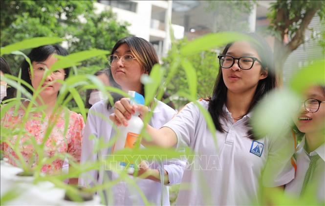 Ngoài học lý thuyết trên lớp, học sinh còn tích cực tham gia công tác ngoại khóa, cùng chung tay xanh hóa môi trường sư phạm. Ảnh: Thanh Tùng - TTXVN 