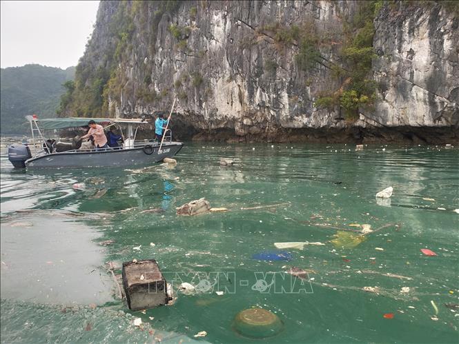 Trong ảnh: Các lực lượng của UBND thành phố Hạ Long, Ban Quản lý vịnh Hạ Long 