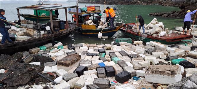 Trong ảnh: Những ngày gần đây xuất hiện gió mùa nên hàng loạt phao xốp trôi dạt vào chân các đảo trên vịnh Hạ Long. Ảnh: Thanh Vân-TTXVN