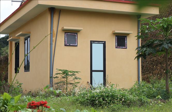 Trong ảnh: Cỏ dại mọc um tùm xung quanh khu nhà điều hành của lò đốt rác. Ảnh: Tuấn Anh  - TTXVN