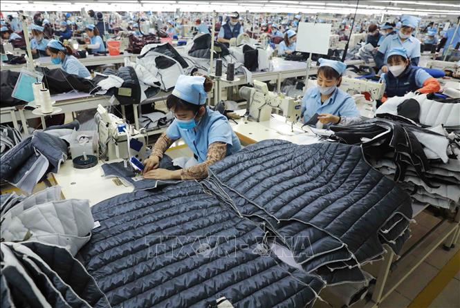 May gia công hàng may mặc xuất khẩu của Công ty TNHH MSA-YB ở Khu công nghiệp Long Bình An (tỉnh Tuyên Quang). Ảnh: Vũ Sinh - TTXVN