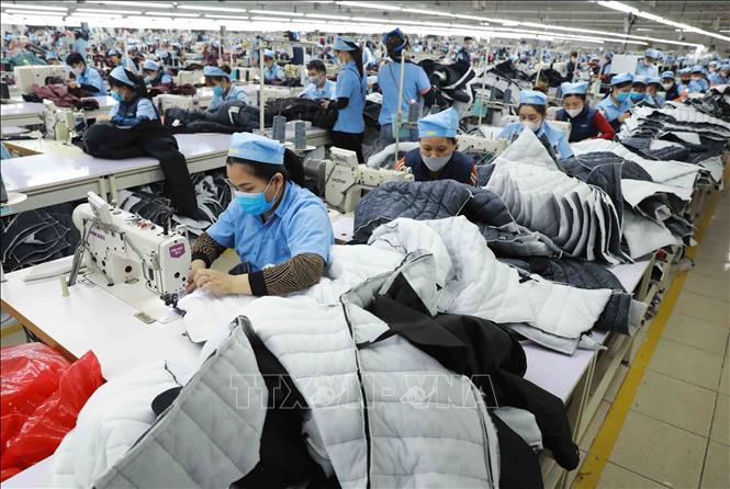 May gia công hàng may mặc xuất khẩu của Công ty TNHH MSA-YB ở KCN Long Bình An (thành phố Tuyên Quang). Ảnh: Vũ Sinh - TTXVN