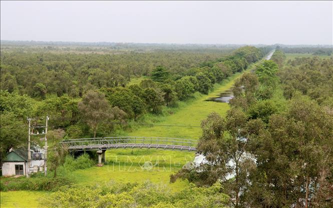 A corner of the U Minh Thuong National Park, Kien Giang province. VNA Photo: Lê Huy Hải