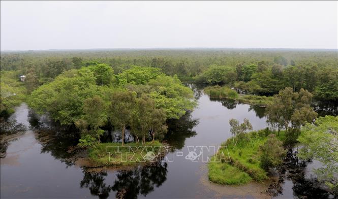 A corner of the U Minh Thuong National Park, Kien Giang province. VNA Photo: Lê Huy Hải