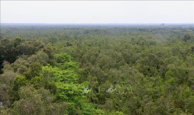A corner of the U Minh Thuong National Park, Kien Giang province. VNA Photo: Lê Huy Hải