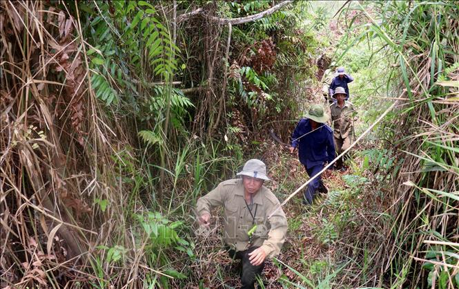 Rangers are during a fire prevention patrol in the U Minh Thuong National Park, Kien Giang province. VNA Photo: Lê Huy Hải