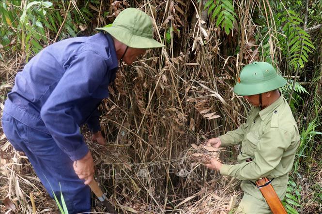 Rangers are during a fire prevention patrol in the U Minh Thuong National Park, Kien Giang province. VNA Photo: Lê Huy Hải