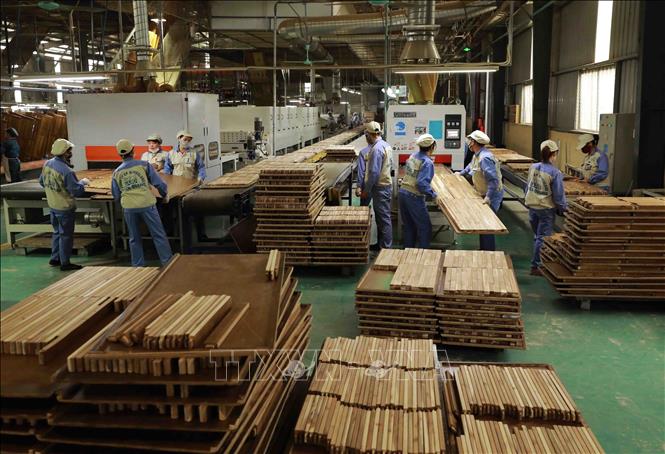 Nhà máy chế biến gỗ của Công ty CP Woodsland Tuyên Quang có công suất thiết kế 150.000 m3/năm. Ảnh: Vũ Sinh – TTXVN