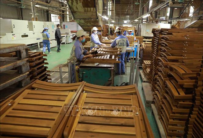 Nhà máy đã hoạt động sản xuất ổn định với nguồn nguyên liệu gỗ đầu vào đạt 100% là loại gỗ có chứng nhận FSC (chứng chỉ quản lý rừng bền vững). Ảnh: Vũ Sinh – TTXVN