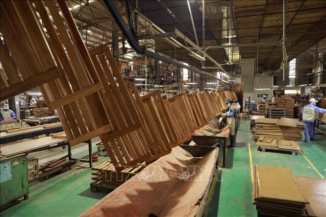Nhà máy chế biến gỗ của Công ty CP Woodsland Tuyên Quang có công suất thiết kế 150.000 m3/năm. Ảnh: Vũ Sinh – TTXVN