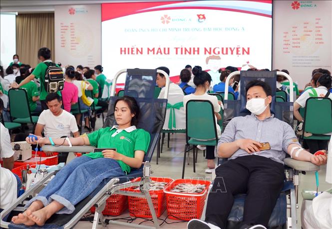 Trong ảnh: Ngày hội hiến máu tình nguyện tại trường Đại học Đông Á. Ảnh: TTXVN phát