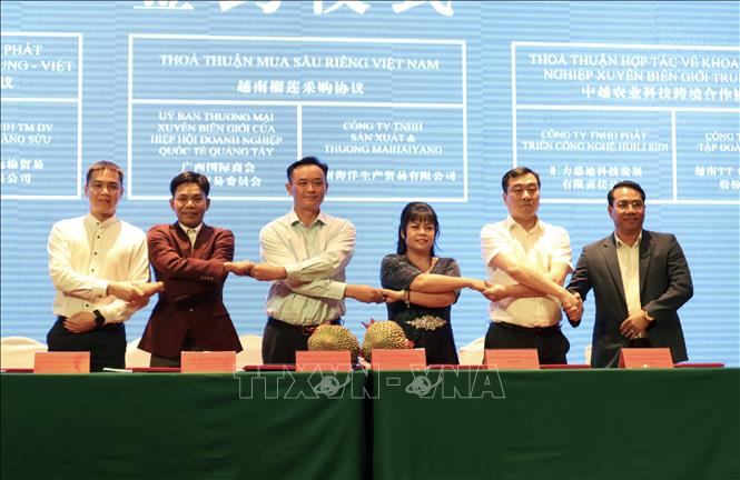 Trong ảnh: Các doanh nghiệp Việt Nam và Quảng Tây (Trung Quốc) ký kết hợp tác thương mại tại hội nghị. Ảnh: Xuân Anh -TTXVN