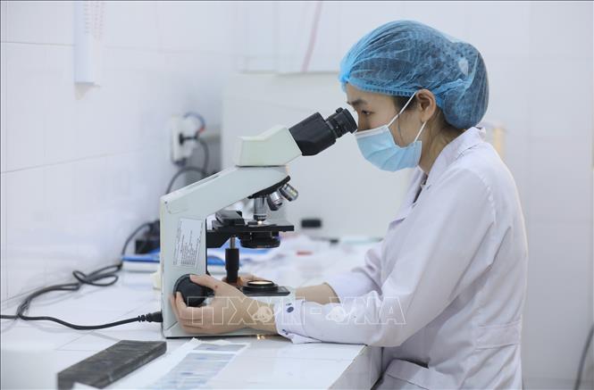 Nhân viên y tế Bệnh viện Phổi Lạng Sơn thực hiện kỹ thuật Soi đờm trực tiếp chẩn đoán lao. Ảnh: Anh Tuấn – TTXVN